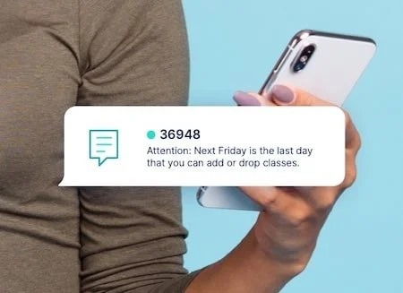 WhatsApp Blasting
